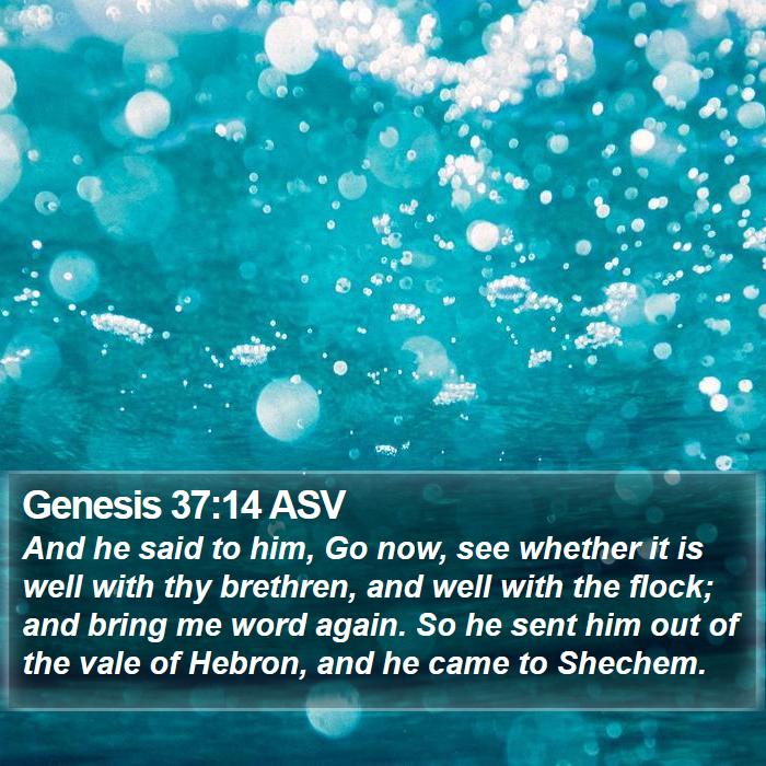 Genesis 37:14 ASV Bible Study