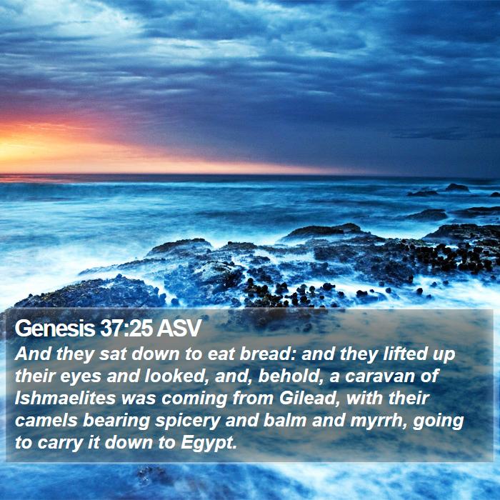 Genesis 37:25 ASV Bible Study