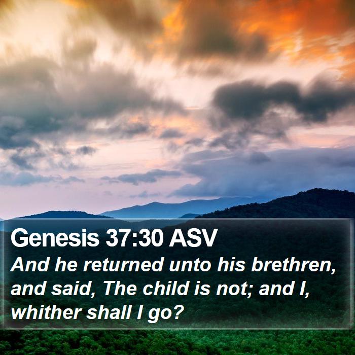 Genesis 37:30 ASV Bible Study