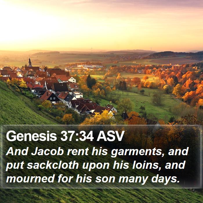 Genesis 37:34 ASV Bible Study