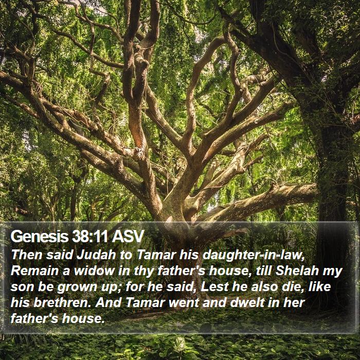 Genesis 38:11 ASV Bible Study