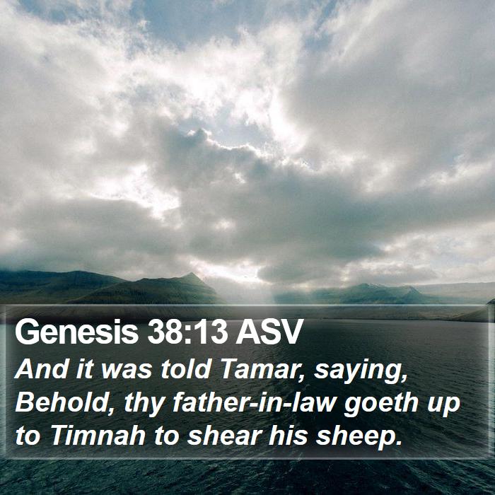 Genesis 38:13 ASV Bible Study