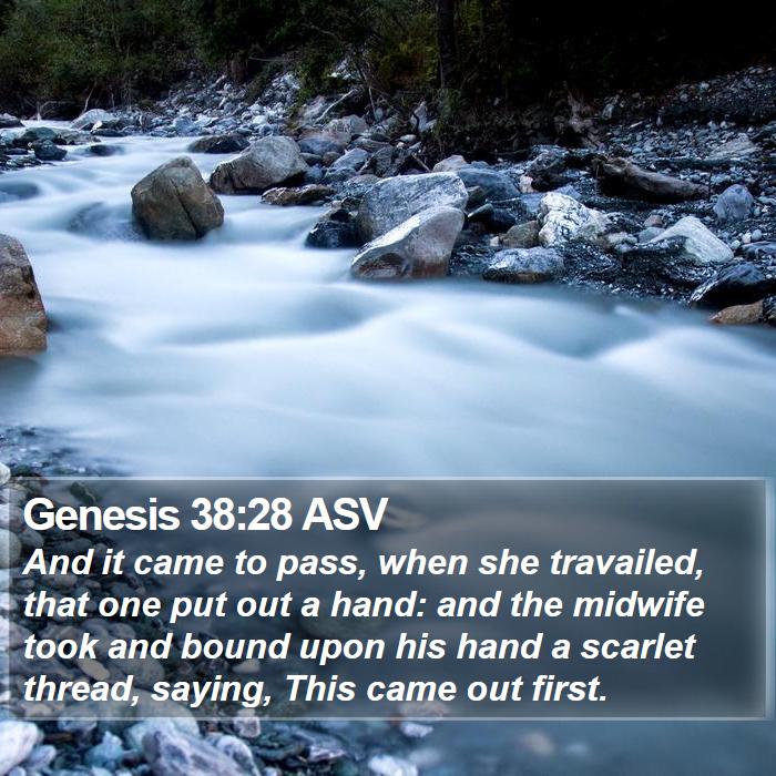 Genesis 38:28 ASV Bible Study