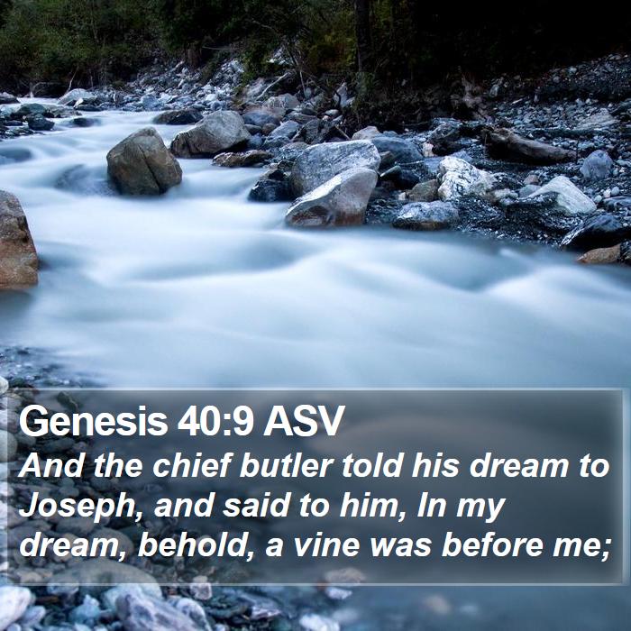 Genesis 40:9 ASV Bible Study