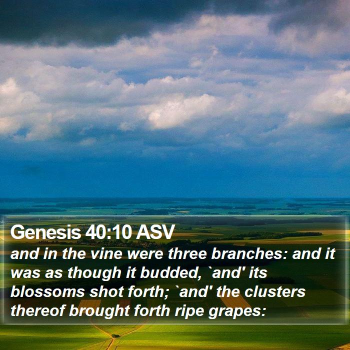 Genesis 40:10 ASV Bible Study