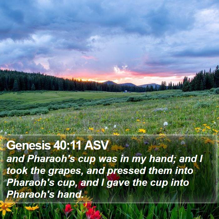 Genesis 40:11 ASV Bible Study