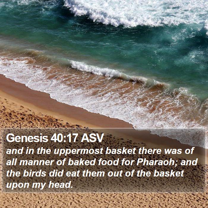 Genesis 40:17 ASV Bible Study