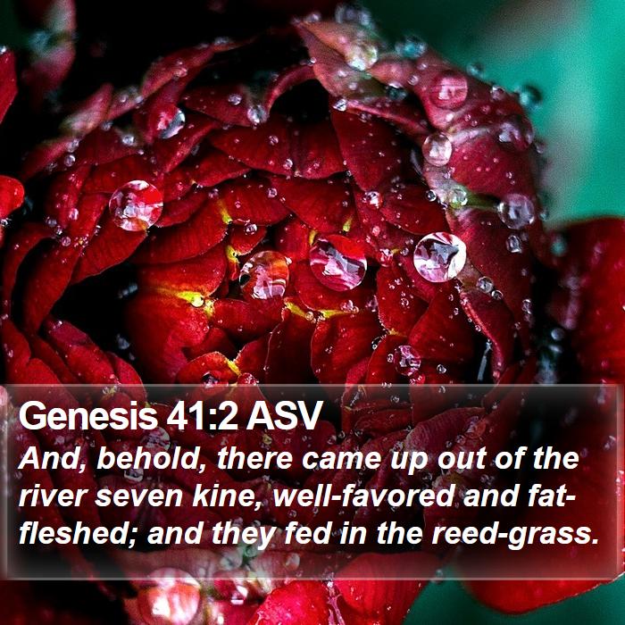 Genesis 41:2 ASV Bible Study