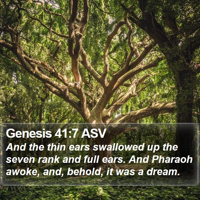 Genesis 41:7 ASV Bible Study