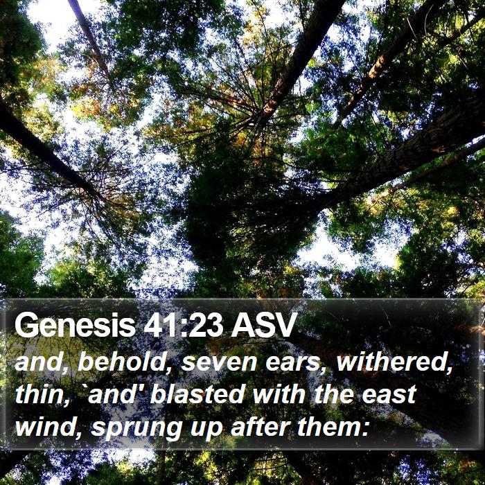 Genesis 41:23 ASV Bible Study