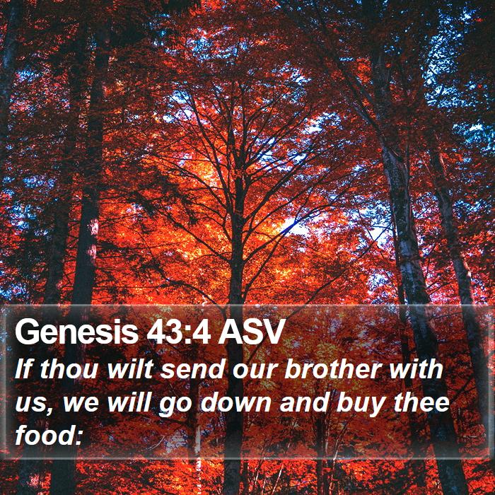 Genesis 43:4 ASV Bible Study