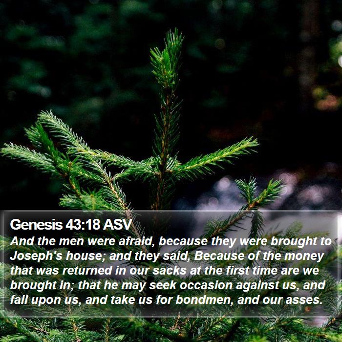 Genesis 43:18 ASV Bible Study