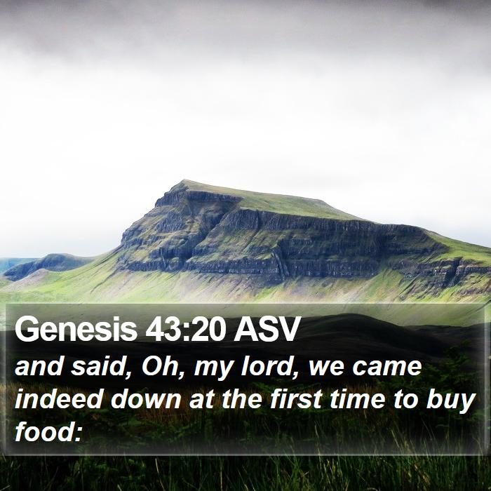 Genesis 43:20 ASV Bible Study