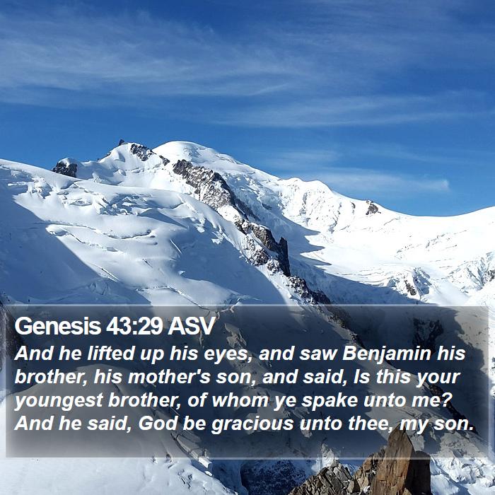 Genesis 43:29 ASV Bible Study