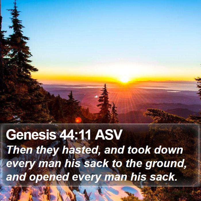 Genesis 44:11 ASV Bible Study