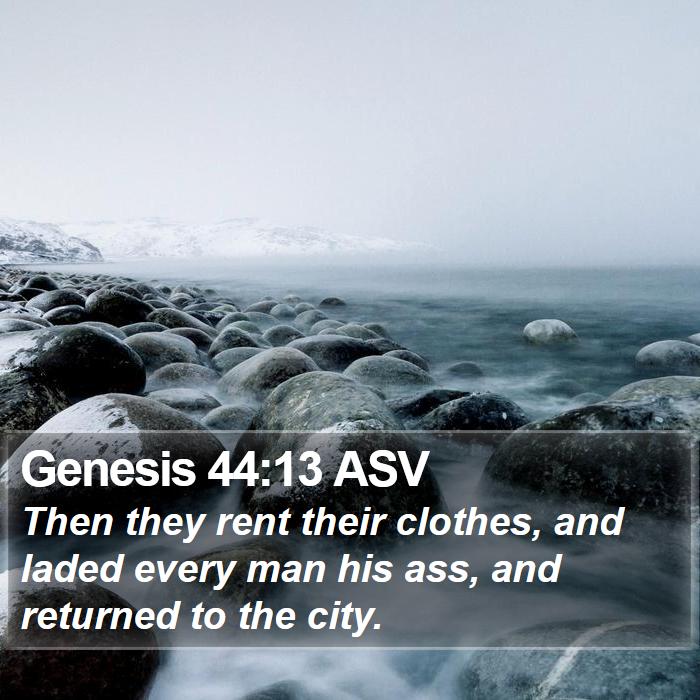 Genesis 44:13 ASV Bible Study