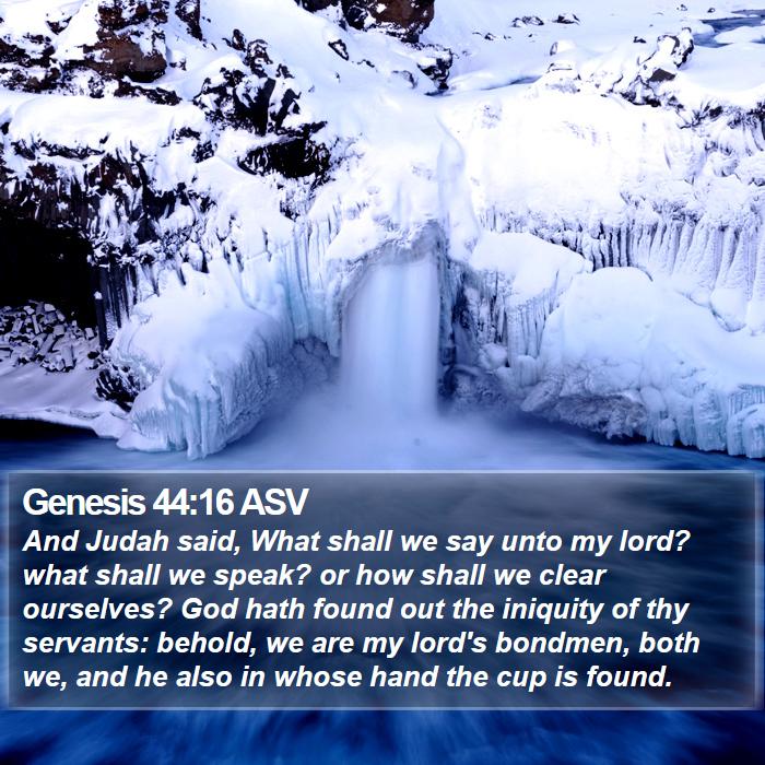 Genesis 44:16 ASV Bible Study