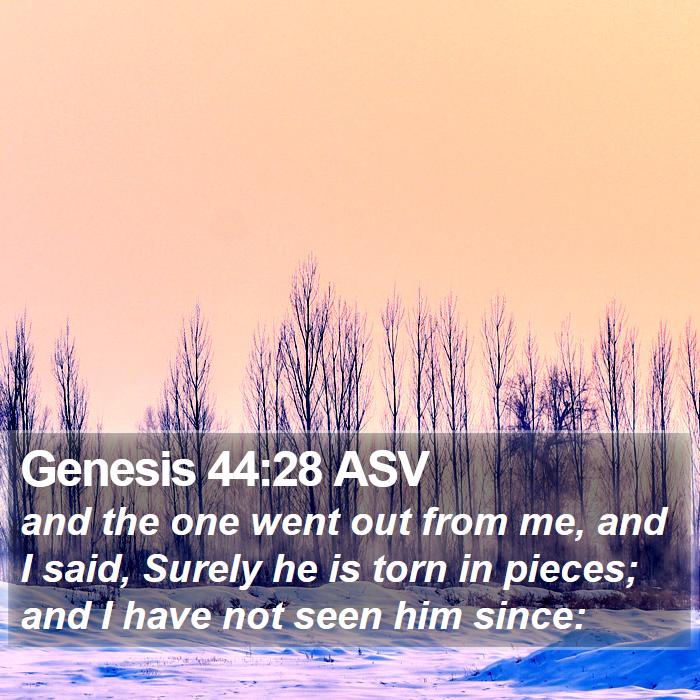 Genesis 44:28 ASV Bible Study