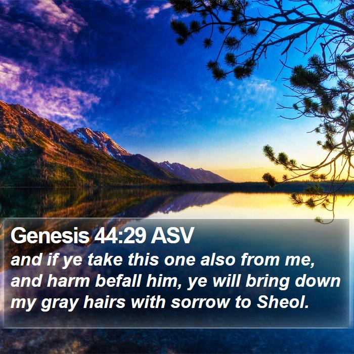 Genesis 44:29 ASV Bible Study