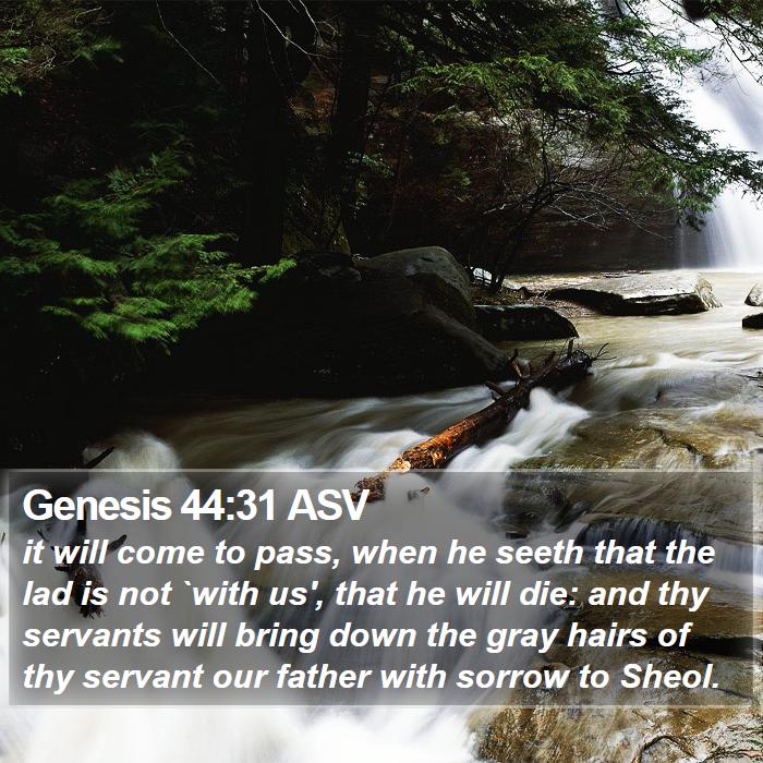 Genesis 44:31 ASV Bible Study