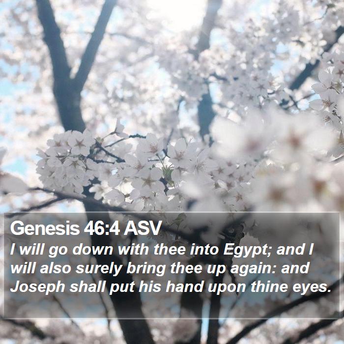 Genesis 46:4 ASV Bible Study