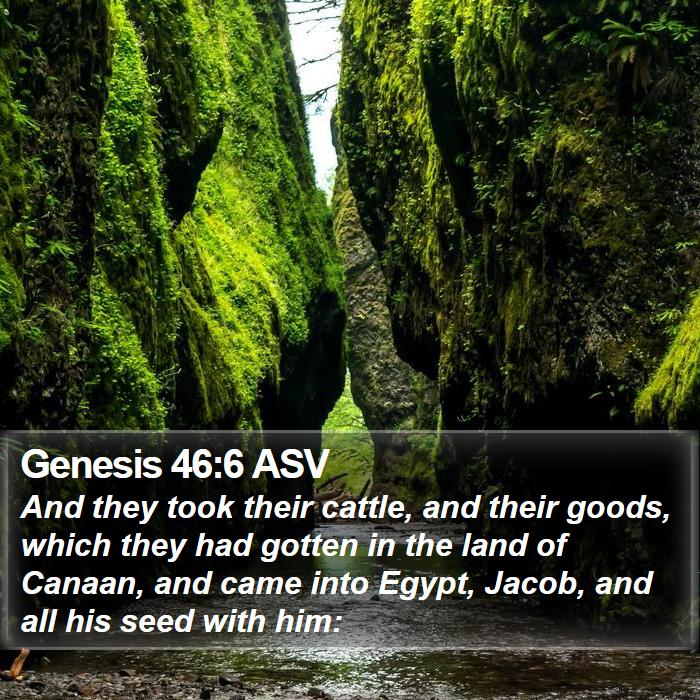 Genesis 46:6 ASV Bible Study