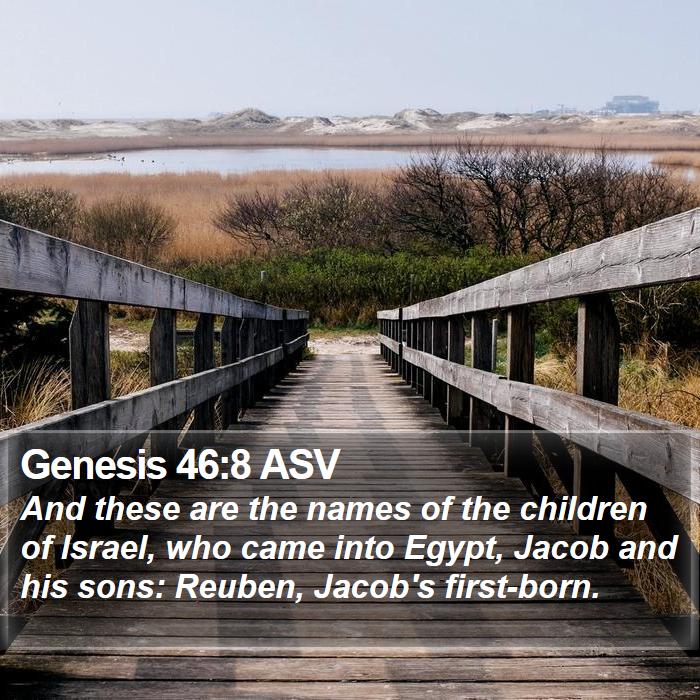 Genesis 46:8 ASV Bible Study