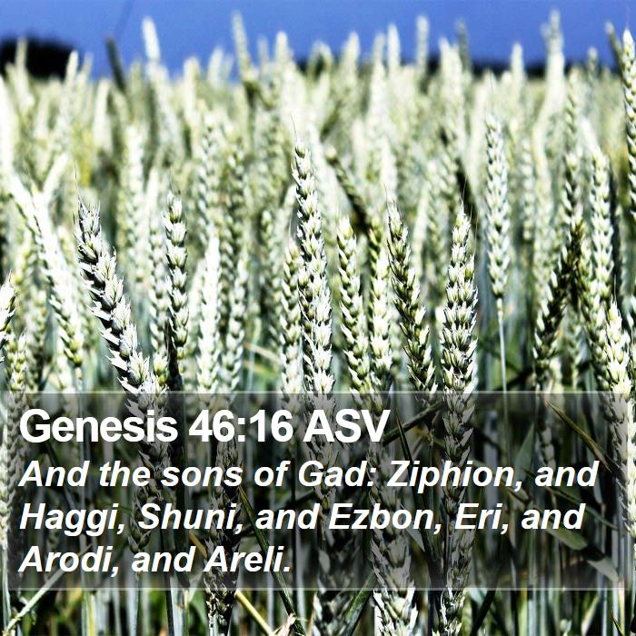 Genesis 46:16 ASV Bible Study