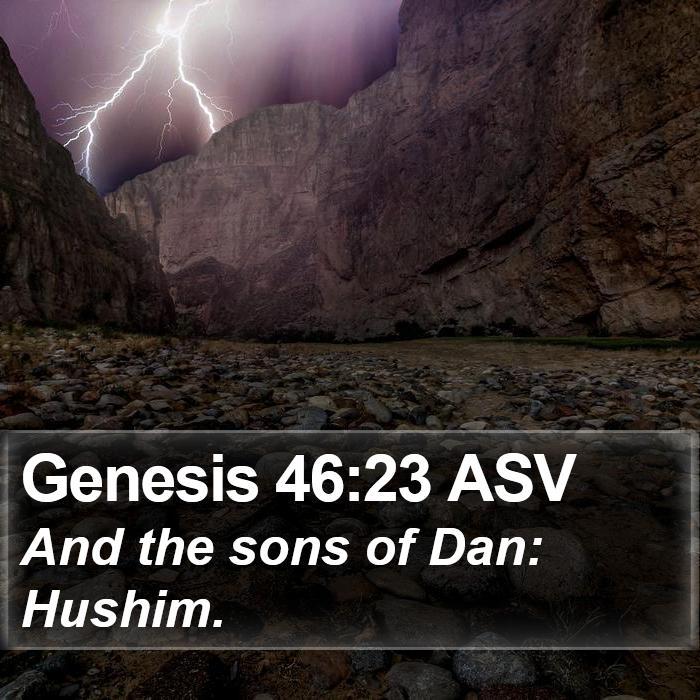 Genesis 46:23 ASV Bible Study