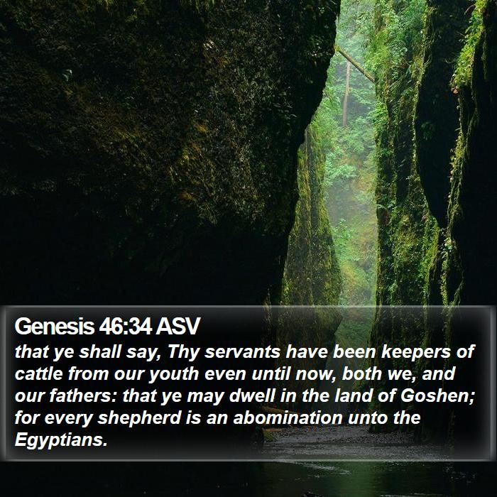 Genesis 46:34 ASV Bible Study