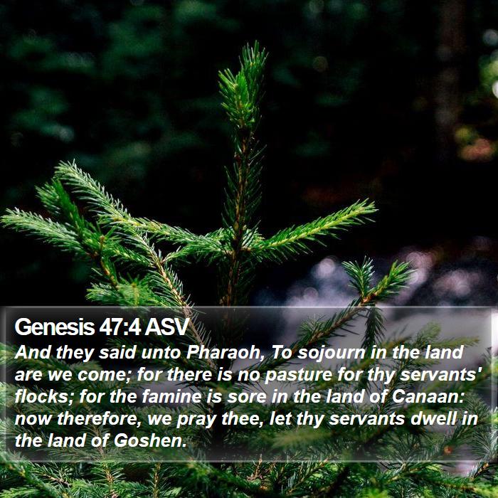 Genesis 47:4 ASV Bible Study