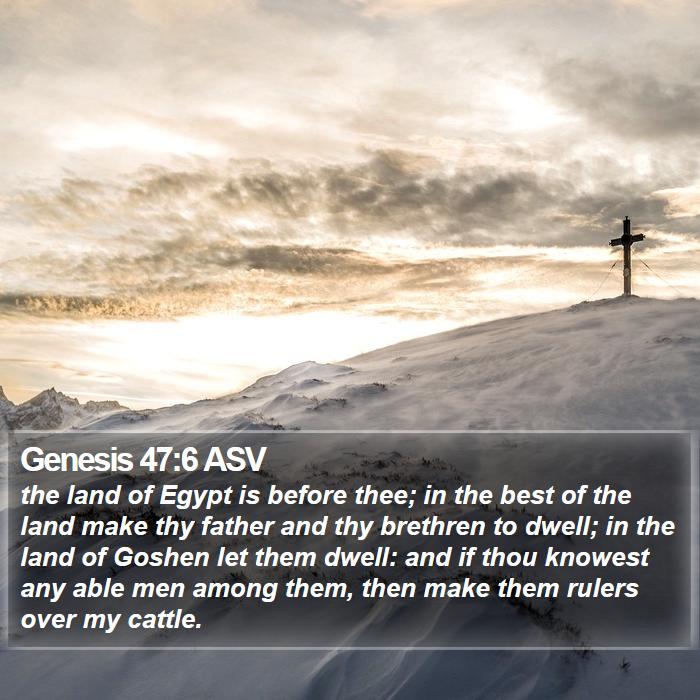 Genesis 47:6 ASV Bible Study