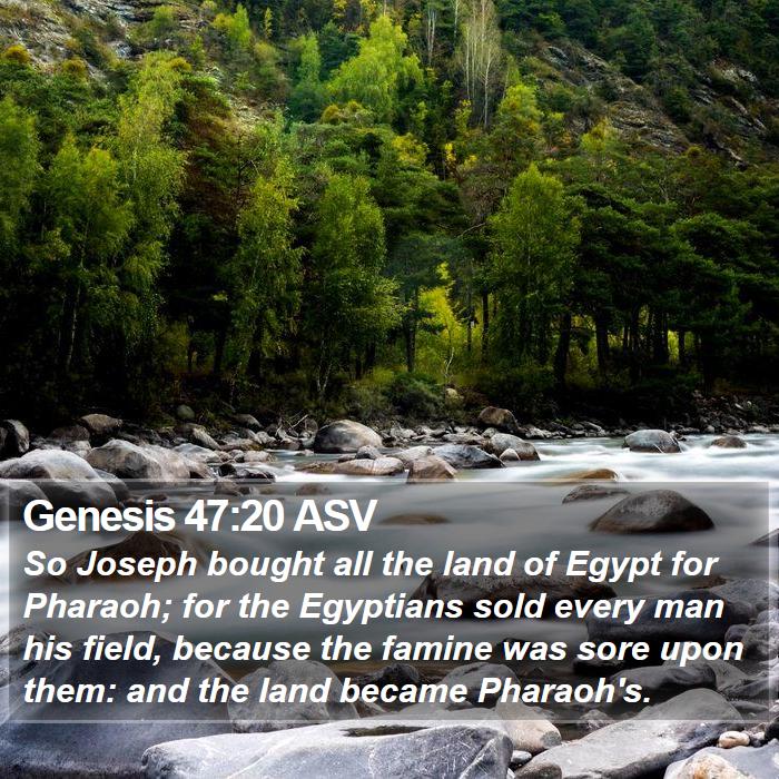 Genesis 47:20 ASV Bible Study