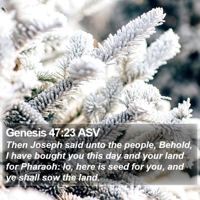 Genesis 47:23 ASV Bible Study