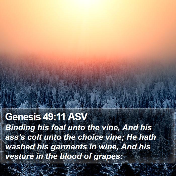 Genesis 49:11 ASV Bible Study