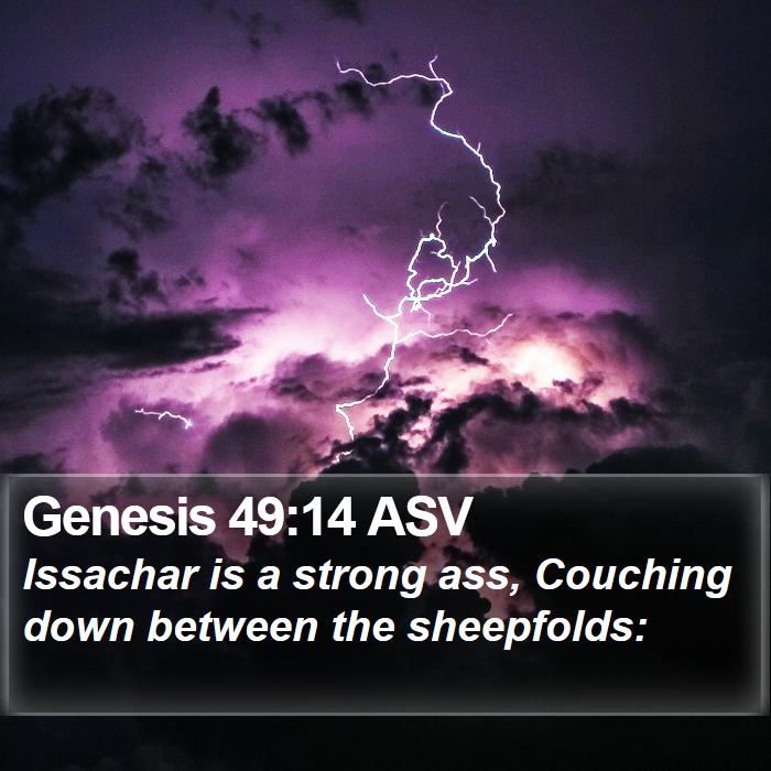 Genesis 49:14 ASV Bible Study