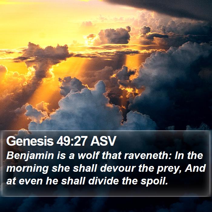 Genesis 49:27 ASV Bible Study