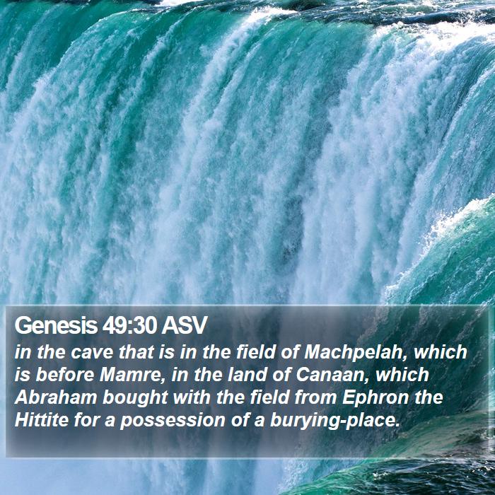 Genesis 49:30 ASV Bible Study