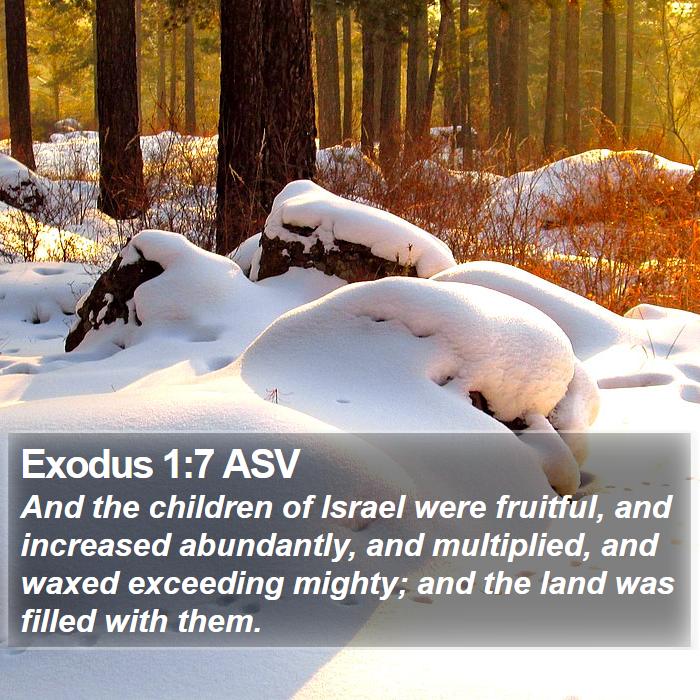 Exodus 1:7 ASV Bible Study