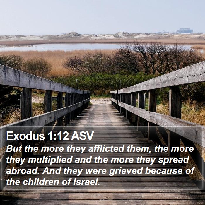 Exodus 1:12 ASV Bible Study