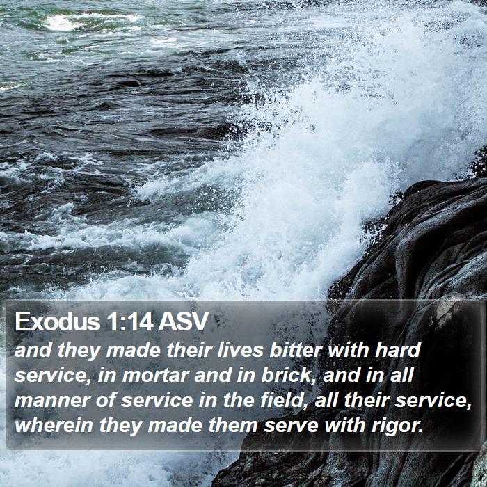 Exodus 1:14 ASV Bible Study