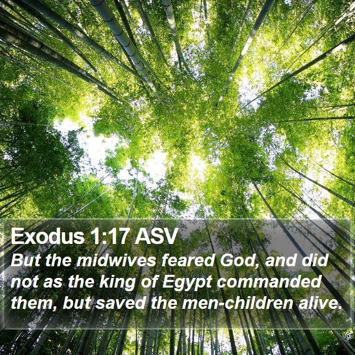 Exodus 1:17 ASV Bible Study