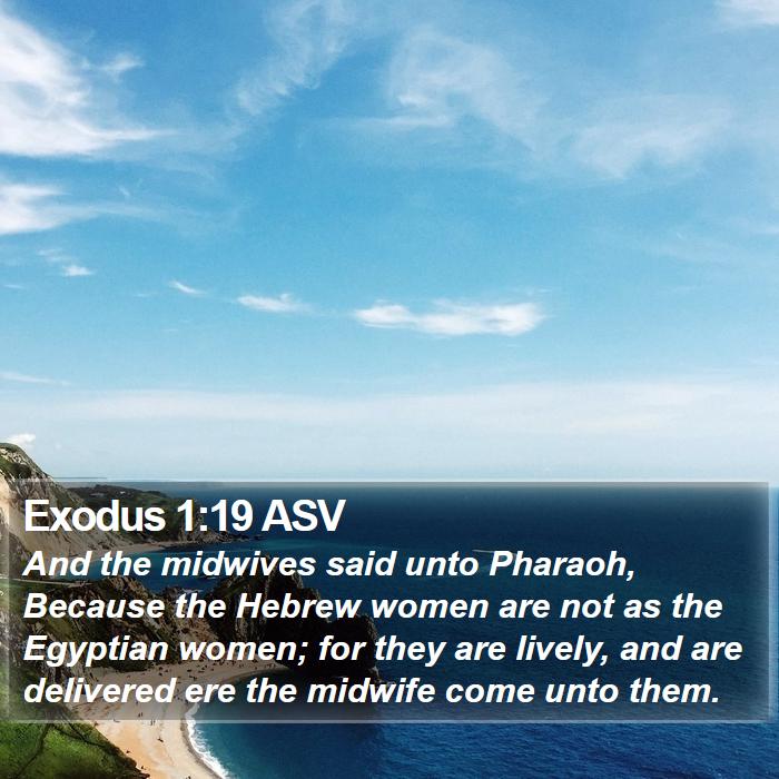 Exodus 1:19 ASV Bible Study