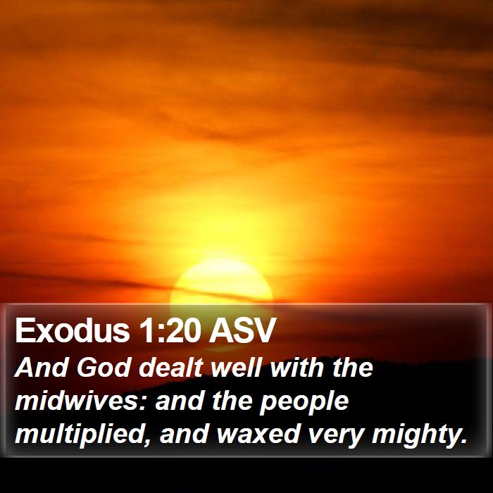 Exodus 1:20 ASV Bible Study