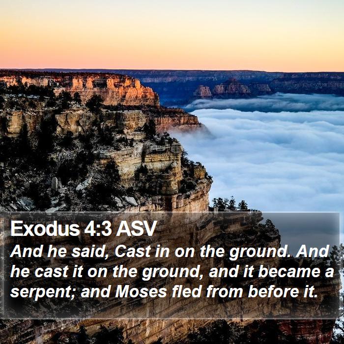 Exodus 4:3 ASV Bible Study