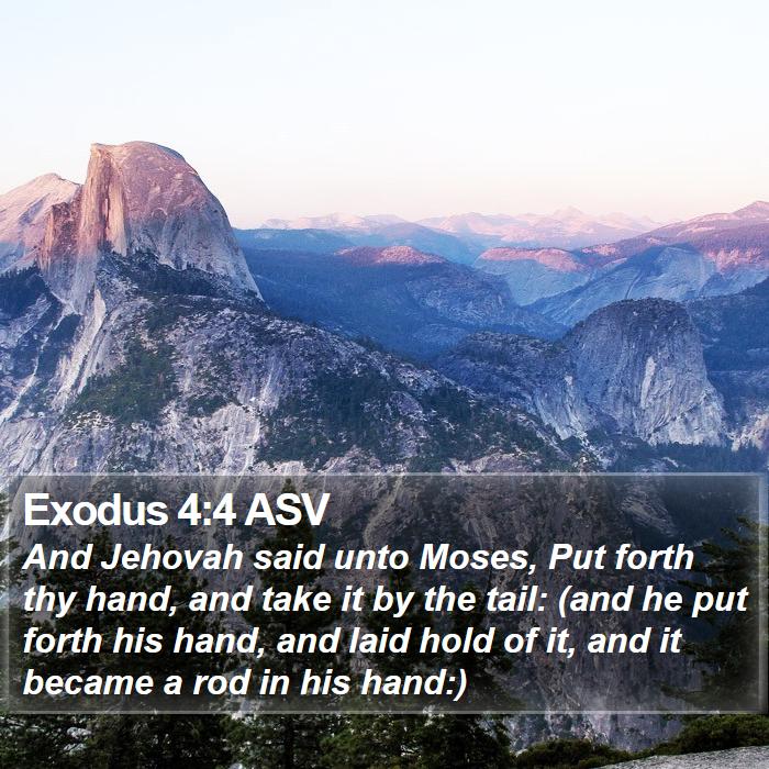 Exodus 4:4 ASV Bible Study