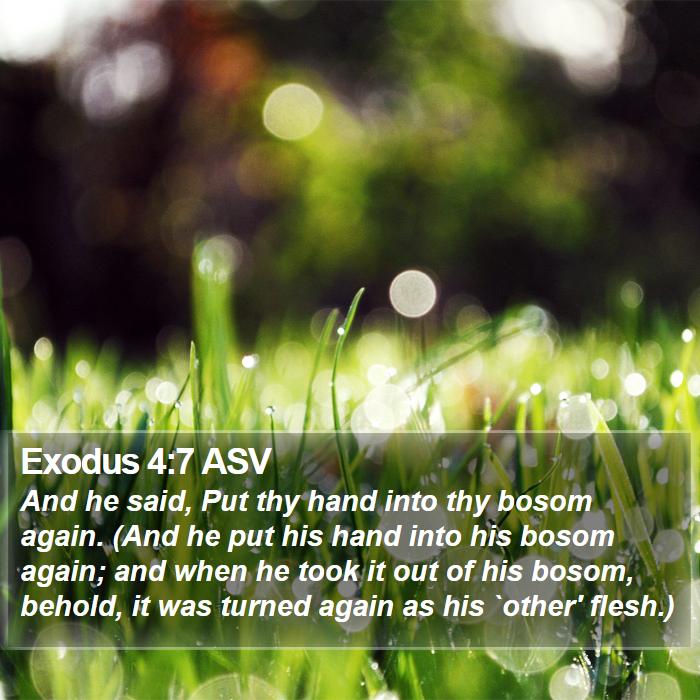 Exodus 4:7 ASV Bible Study