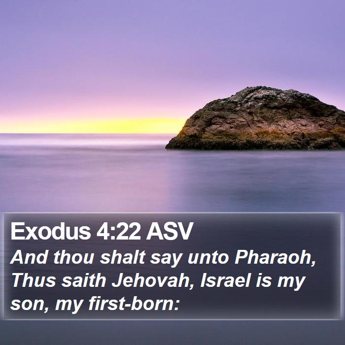 Exodus 4:22 ASV Bible Study