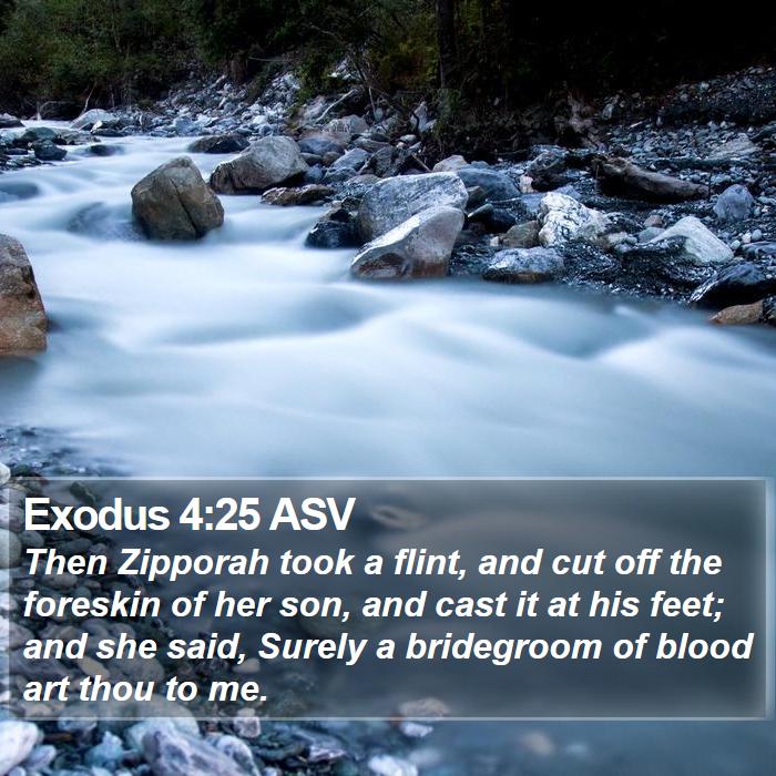 Exodus 4:25 ASV Bible Study