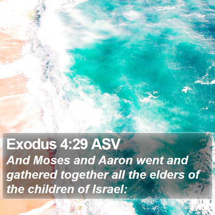 Exodus 4:29 ASV Bible Study